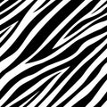 Vector illustration of seamless zebra pattern Royalty Free Stock Photo