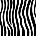 Vector illustration of seamless zebra pattern. black and white zebra fur pattern. Animal print background for fabric, textile, Royalty Free Stock Photo