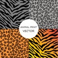 Vector illustration of seamless set zebra pattern Royalty Free Stock Photo