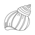 Vector illustration of a seashell. Outline hand drawing of a conch. Icon, design element