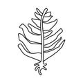 Vector design of seaweed and green symbol. Set of seaweed and algae vector icon for stock.