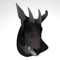 Vector illustration of serow head