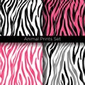 Vector illustration set of African zebra patterns in white, black and pink colors. Seamless zebra skin texture patterns Royalty Free Stock Photo