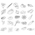 Vector illustration set of Asian food ingredient isolated outline on white background. Royalty Free Stock Photo