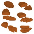 Vector illustration of set of baked bread