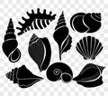 Vector illustration set of beautiful sea shells black silhouettes isolated on transparent background. Royalty Free Stock Photo