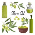 Vector illustration of a set of bottles and a jug of olive oil, a plate of pickled olives, branches and fruits. Packaging or Royalty Free Stock Photo