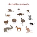 Vector illustration, set of cartoon Australian animals. Quoll, redback spider, kiwi, numbat, platypus, koala, wombat