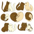 Vector illustration set of cats in love saint valentine`s days, flat icons. Cartoon in brown and cream colours isolated on white Royalty Free Stock Photo