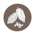 Vector illustration set of cocoa opened and closed raw unpeeled bean pods and detached seeds. Black scillfull outline of