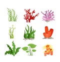 Vector illustration set of colourful water plants and coral isolated on white background in cartoon flat style. Royalty Free Stock Photo