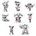 Vector illustration set of cow icons. Cartoon and realistic animals in pink and black colours isolated on white background Royalty Free Stock Photo