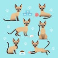 Vector illustration set of cute cat in different poses. Eating, sleeping, sitting and playing kitten in flat cartoon Royalty Free Stock Photo