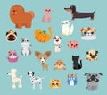 Vector illustration set of cute and funny cartoon pet characters. Different breed of dogs and cats