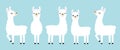 Cute White Llama Vector Illustration Royalty Free Stock Photo