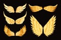 Vector illustration set of different golden wings on black background. Royalty Free Stock Photo