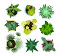 Vector illustration set of different house plants in pots isolated on white background. Top view collection of plants