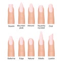 Vector illustration set of different nails shape tipes. Manicure design on fingers isolated on white background in flat Royalty Free Stock Photo