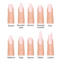 Vector illustration set of different nails shape tipes. Manicure design on fingers isolated on white background in flat