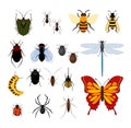 Vector illustration set of different types of insects in flat style design icons. Bee, fly and dragonflies, spiders and