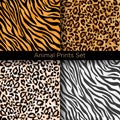 Vector illustration set of four different seamless animal patterns. Safari textile concept. Tiger, zebra, leopard and Royalty Free Stock Photo