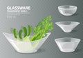 Vector illustration set of four transparent glass bowls with celery and fennel for your design