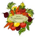 Vector illustration. Set of fresh fruits and vegetables Royalty Free Stock Photo