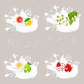 Vector illustration for set fruits