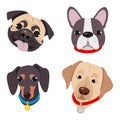 Vector illustration, set of funny head of purebred dogs, on a white background