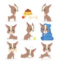 Vector illustration set of funny puppy in different actions and positions, dog daily routine collection, cute little Royalty Free Stock Photo