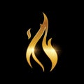 Golden Fire Flame Symbol Logo Sign