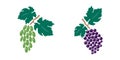 Vector Set of grapes - bunch of grapes with leaves - black icons on white background