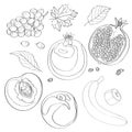 Vector illustration, set. Grapes, pomegranate, half pomegranate, peach, half peach, peach leaves, banana and a piece of banana. Bl