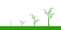 Vector illustration of a set of green icons - plant or tree grow