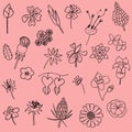 Vector illustration set of hand drawn flower leaf doodle as graphic design floral elements Royalty Free Stock Photo