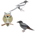 Vector illustration of a set of images of birds