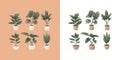 Vector illustration set of indoor plants with beautiful gradient.