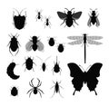 Vector illustration set of Insects, collection of different insects silhouettes, fly, bee, ticks and bug, spider on