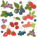 Vector illustration Set of Outline hand drawn berries ( blackberry, cherry, strawberry, currant, raspberry, blueberry) Royalty Free Stock Photo