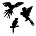 Vector illustration. Set of parrots, flying parrots. Parrot sitting on a branch. Black silhouette Royalty Free Stock Photo