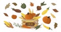 Vector illustration- a set of pictures on the theme of the autumn harvest, local food fairs