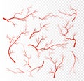 Vector illustration set of red human veins, capillaries or vessel, blood arteries isolated on transparent background.