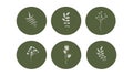 Vector illustration - a set of round icons for stories, highlights with the image of different plants. Royalty Free Stock Photo