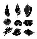 Vector illustration set of sea shells black silhouettes isolated on white background. Royalty Free Stock Photo