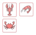 Vector illustration of the set of seafood