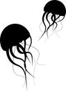 Vector illustration set of silhouette jellyfish graceful on isolated background