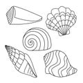 Vector illustration. Set with simple shell silhouettes. Drawing of black lines on a white background, Doodle.