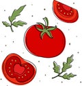 Vector illustration of a set with tomatoes.