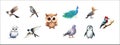 Vector Illustration Set of Various Birds Sparrow, Grey Bird, Owls, Peacock,Swallow, Pigeon, Penguin-like Bird