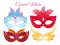 Vector illustration set venetian painted carnival facial masks. Masks for a party decorated with bright colorful Royalty Free Stock Photo
